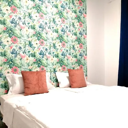 Maison d'hôtes In Alicante!